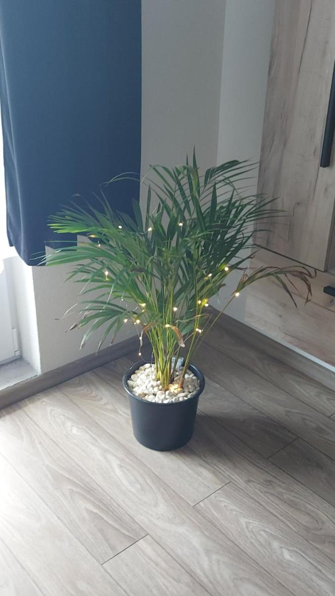 Apartament AntoniaS - Housity