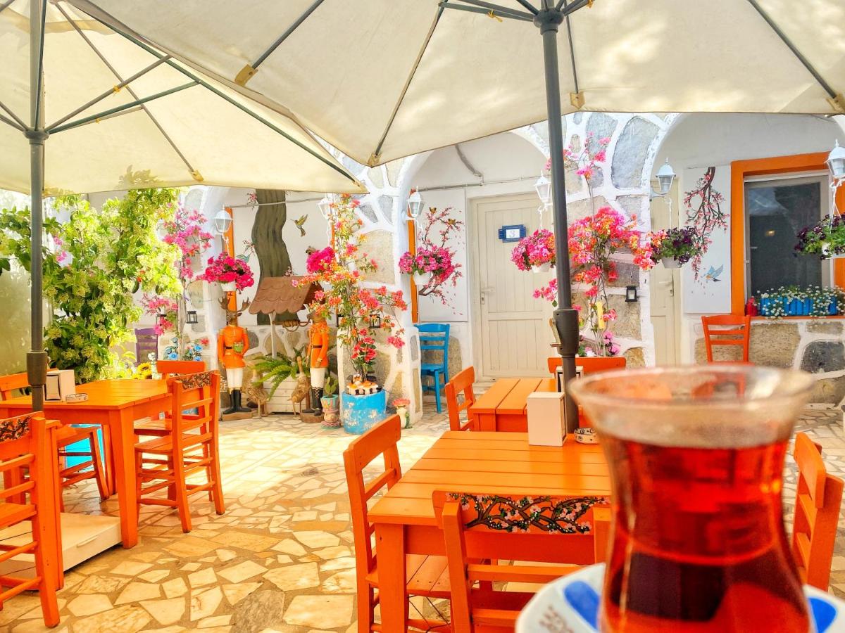 Bodrum Sade Pension - Housity