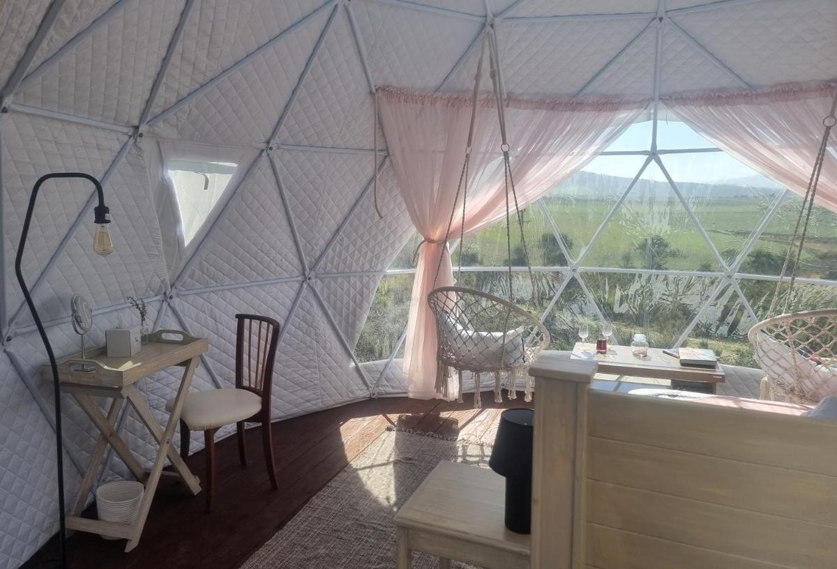 Pom Gratz - EcoDomes - Housity