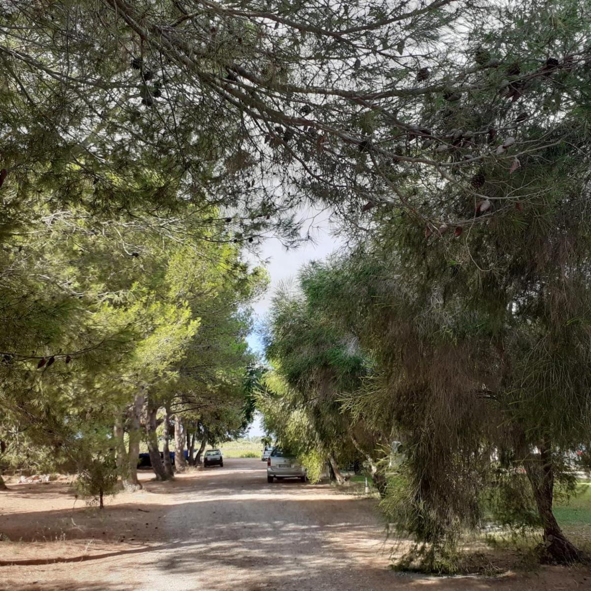 Agriturismo Bellu - Housity
