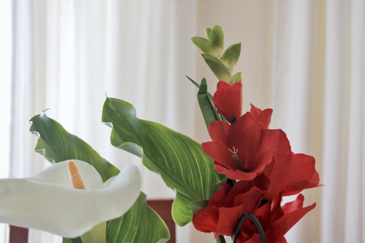 Villa Currina - 7801 - Housity