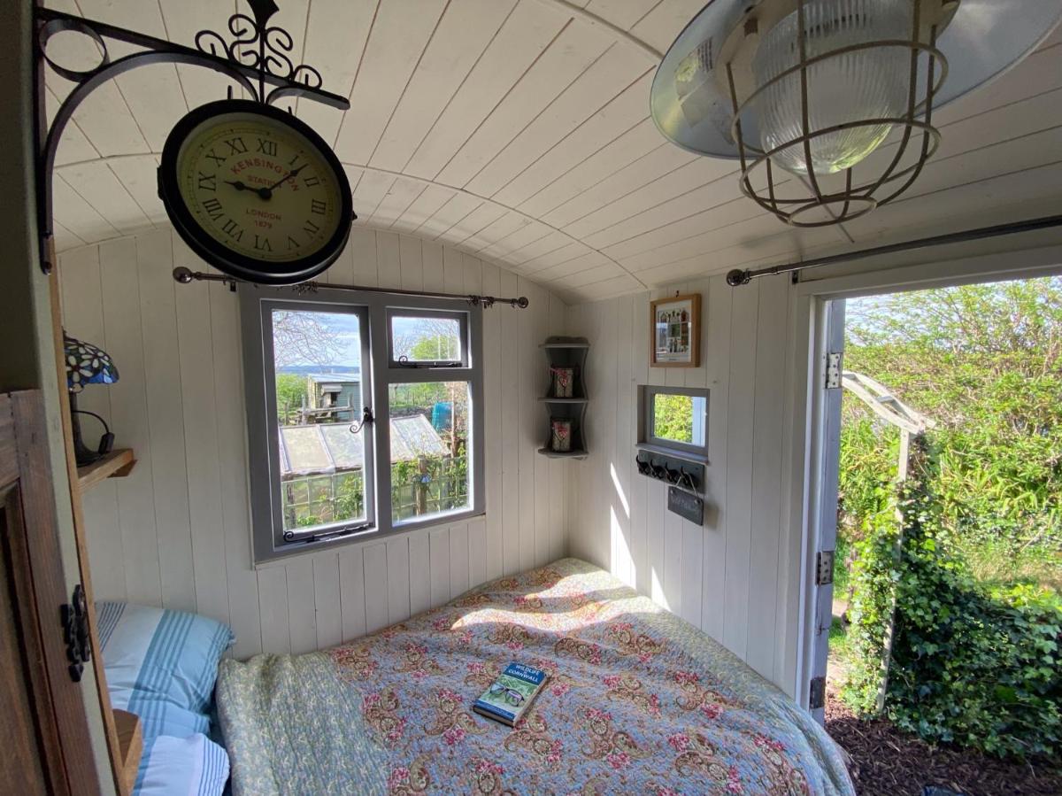 Shepherd's Hut Glamping Accommodation - Housity