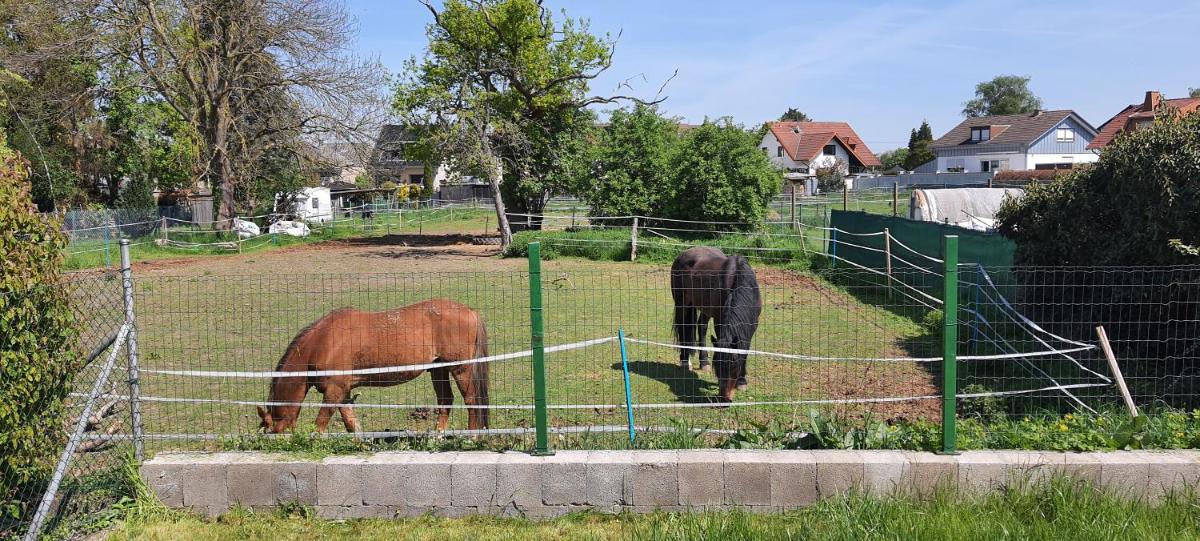 Gäste Haus Am See - Housity
