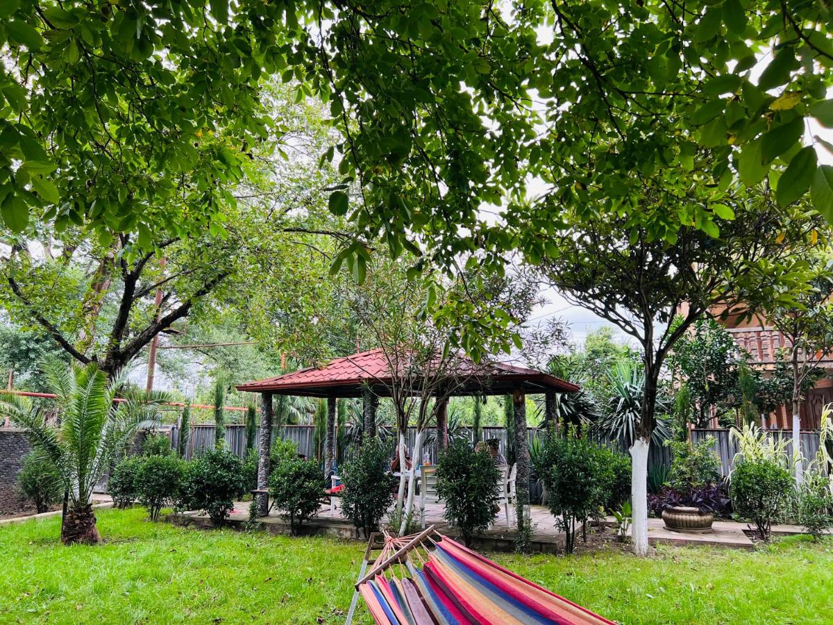 Medea guest house - Housity