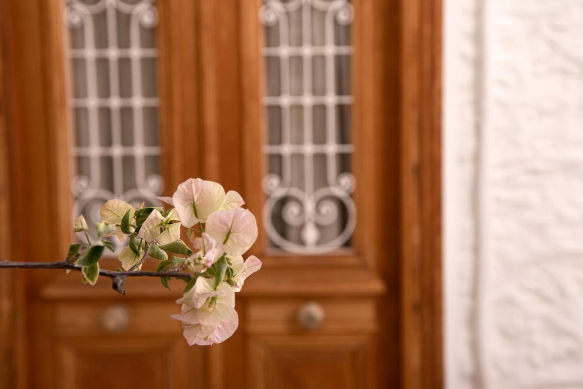 Antoinette Mansion - Housity