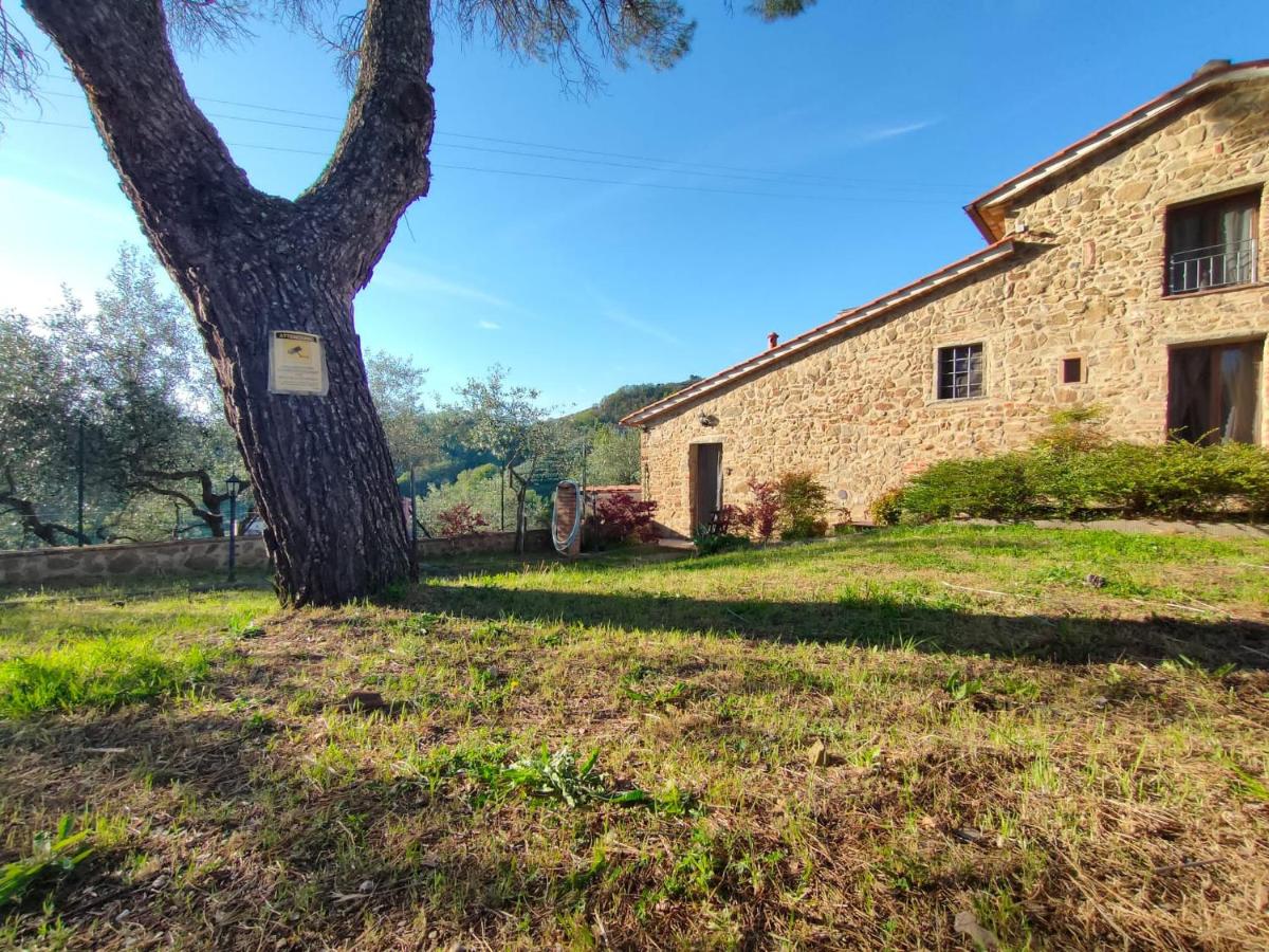 Il Fienile tra gli Ulivi - Housity