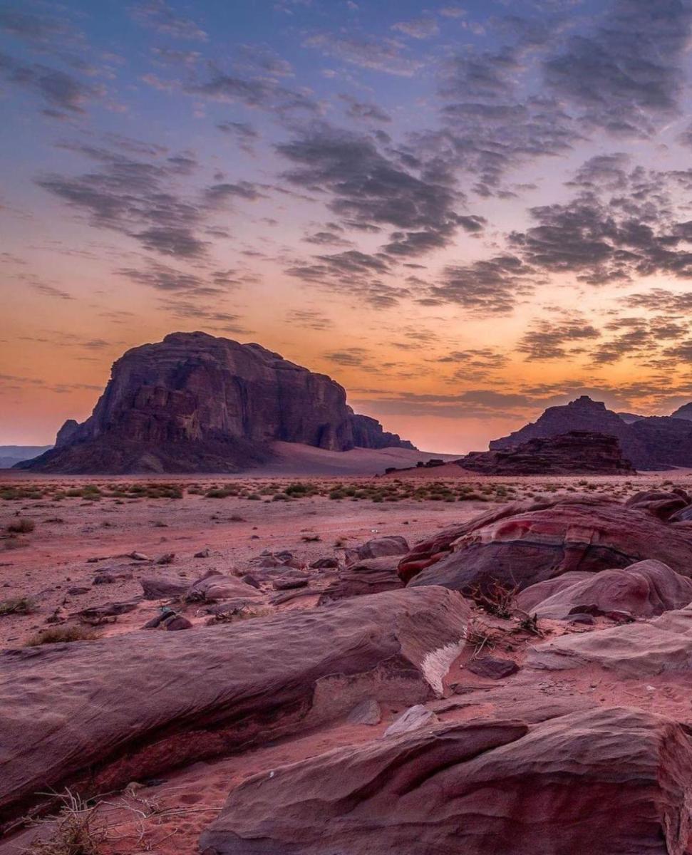 Wadirum Zeid camp - Housity