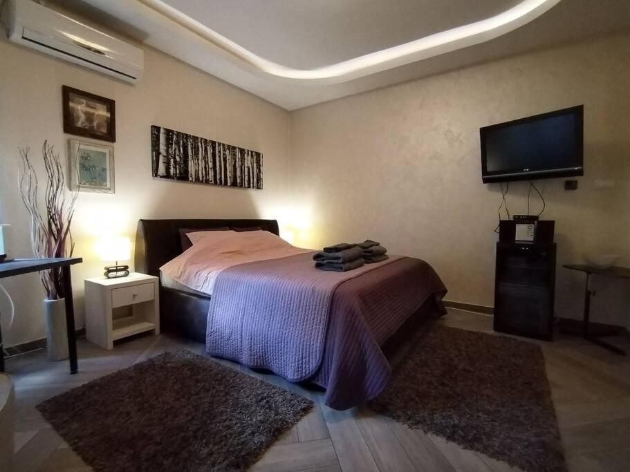 Enjoy Belgrade - Housity