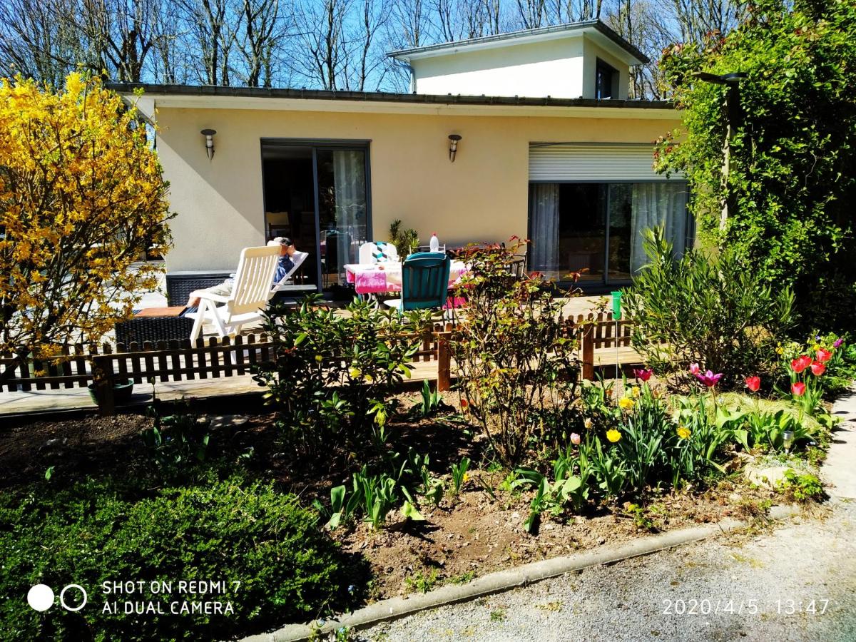 Suitetrails - HOLLY WOOD