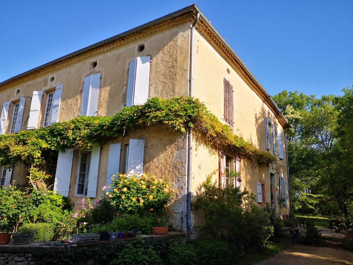Mulé - Housity