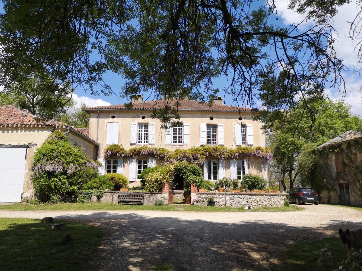 Mulé - Housity