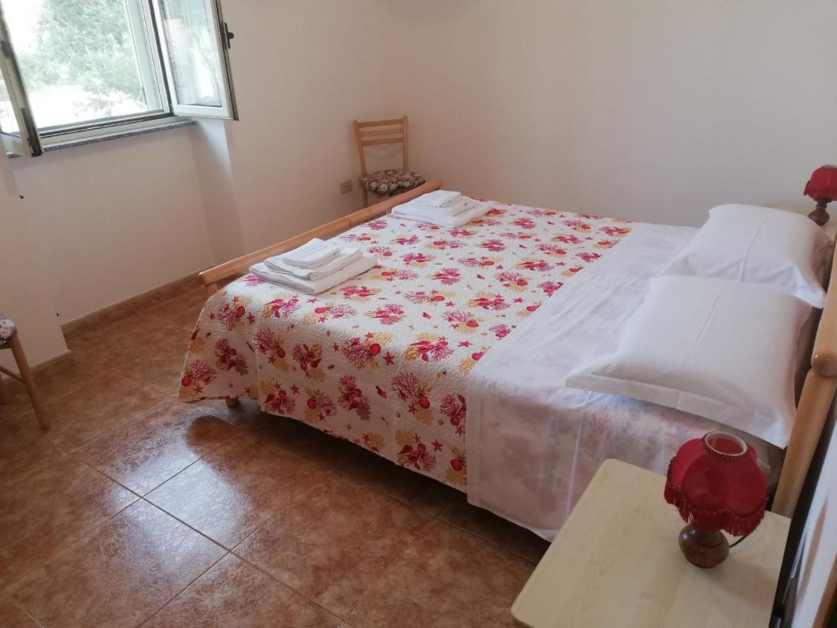 Meridiana 1 - Housity