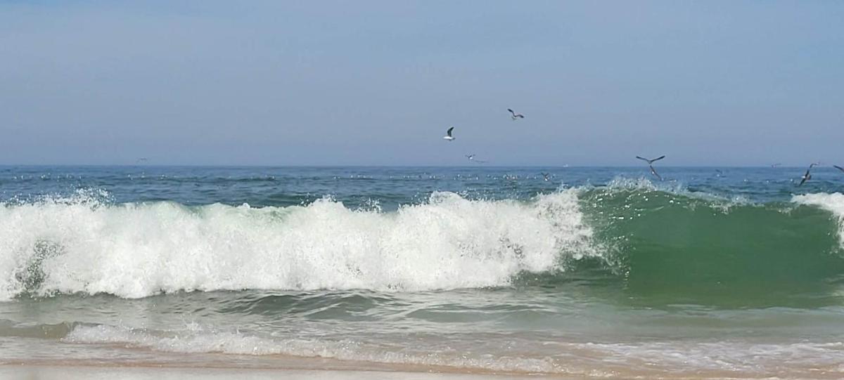 Big Fish 1 - Charming Beach Apartment - Housity