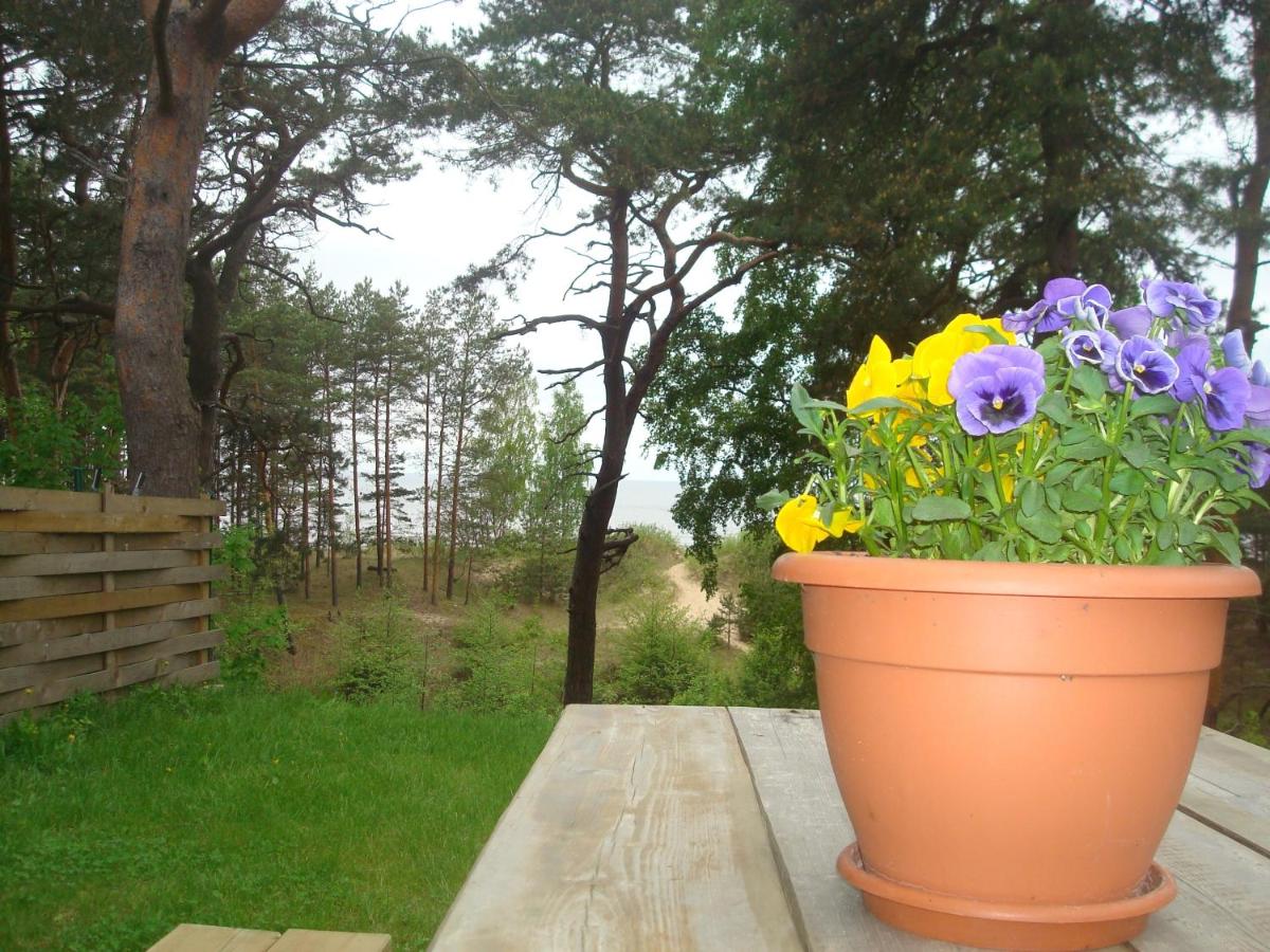 Suitetrails - Singing sands Apartment in Saulkrasti