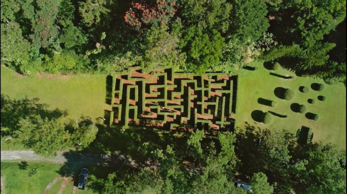 Eden Nature Park and Resort - Housity