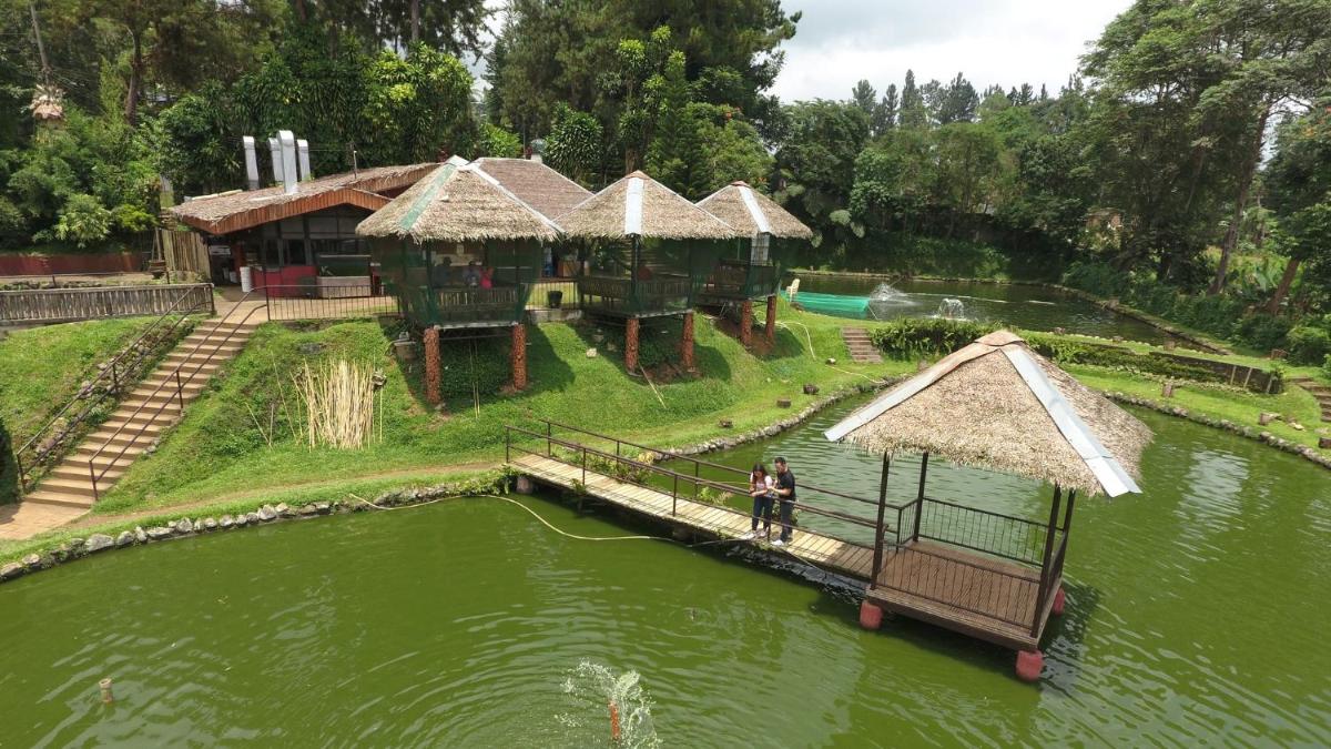 Eden Nature Park and Resort - Housity