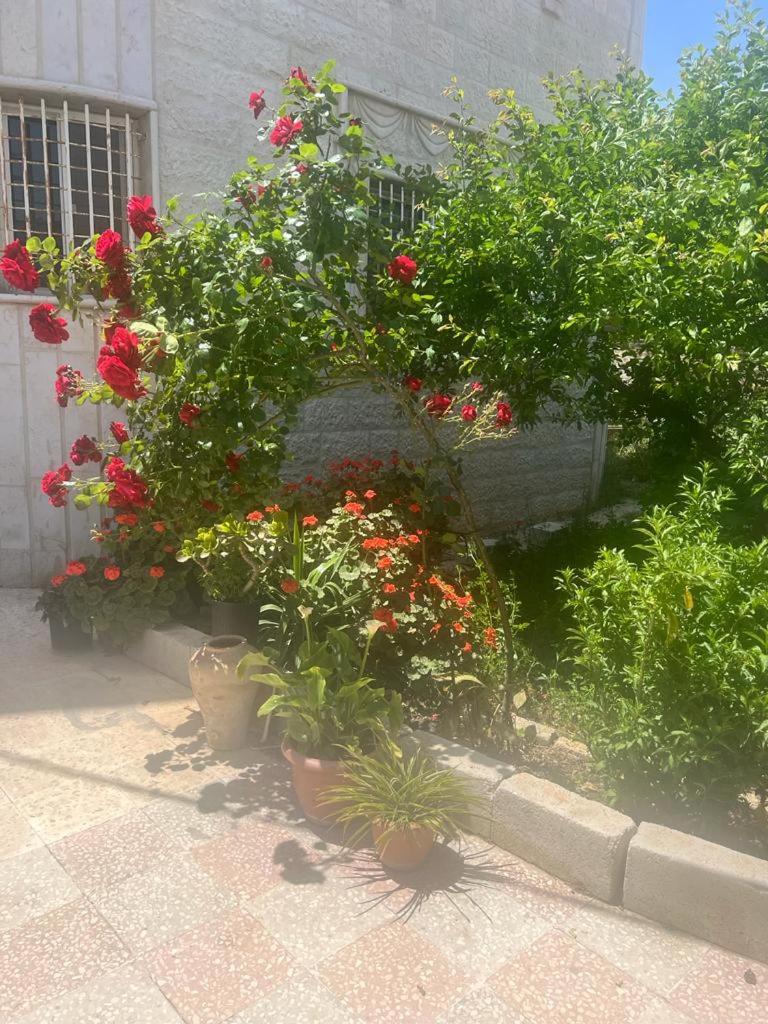 Ajloun Rest House - Housity