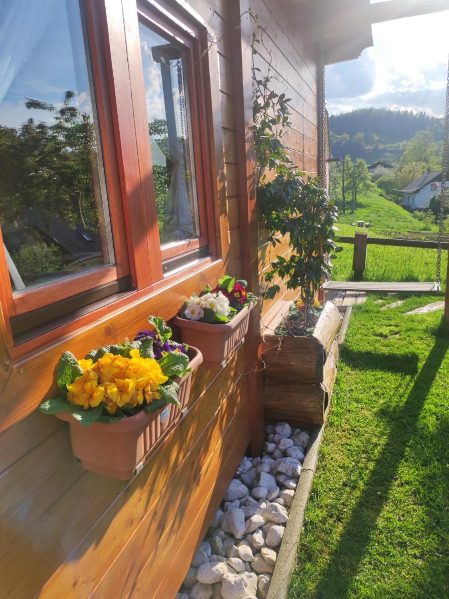 Vintgar studio - Housity