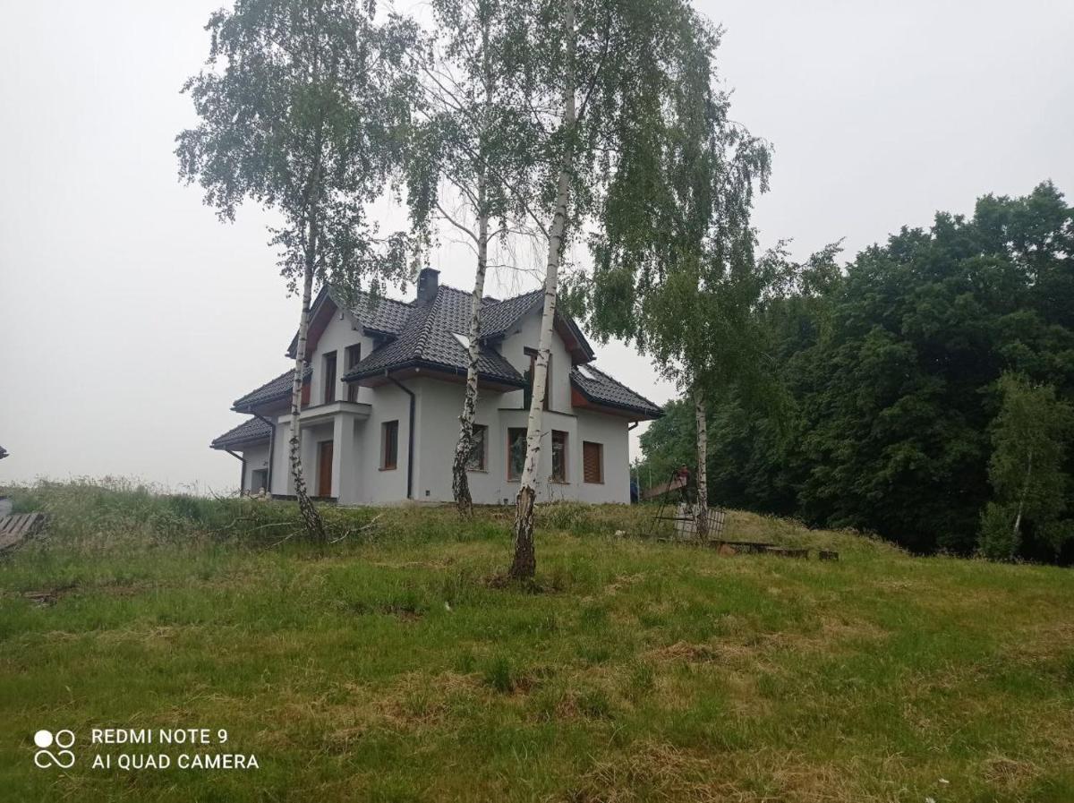 Helena - Housity