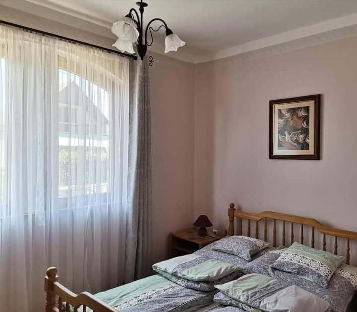 Viola vendégház - Housity