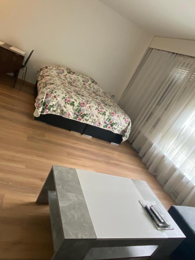 Apartment in Bern city centre - Housity