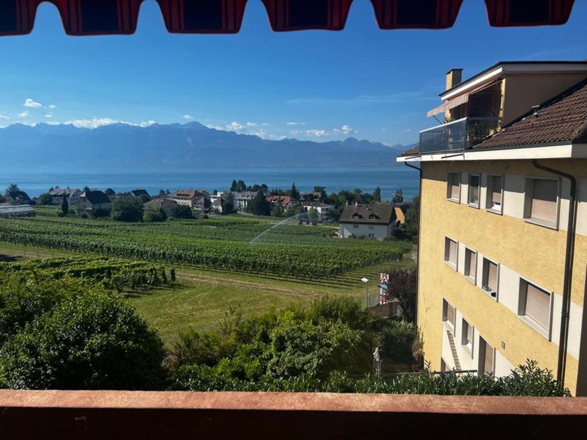 Appartement cosy à Pully avec vue époustouflante - Housity