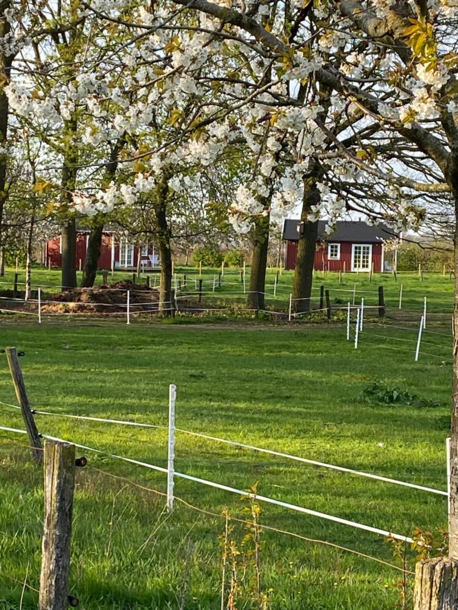 De Heeren Hoeve Carpe Diem - Housity