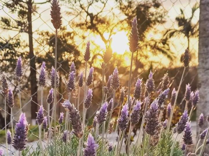 Pousada do Sossego - Housity