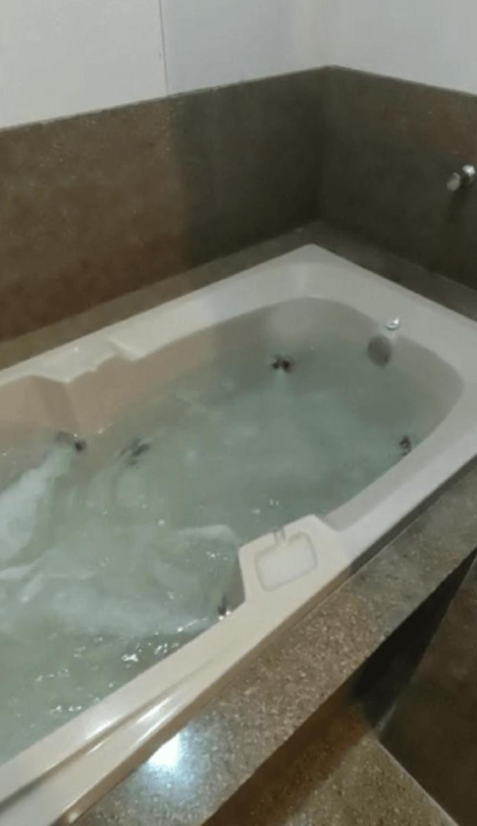 Suitetrails - Jacuzzi Privativa e Vista a Lagoa da Pampulha