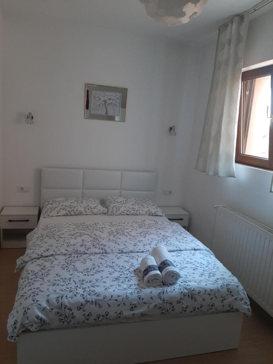 Golden Stars Malca - Hizvo