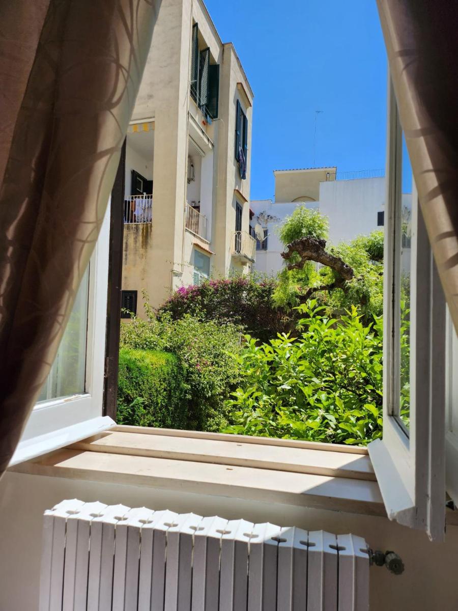 Suitetrails - Maison Olimpo