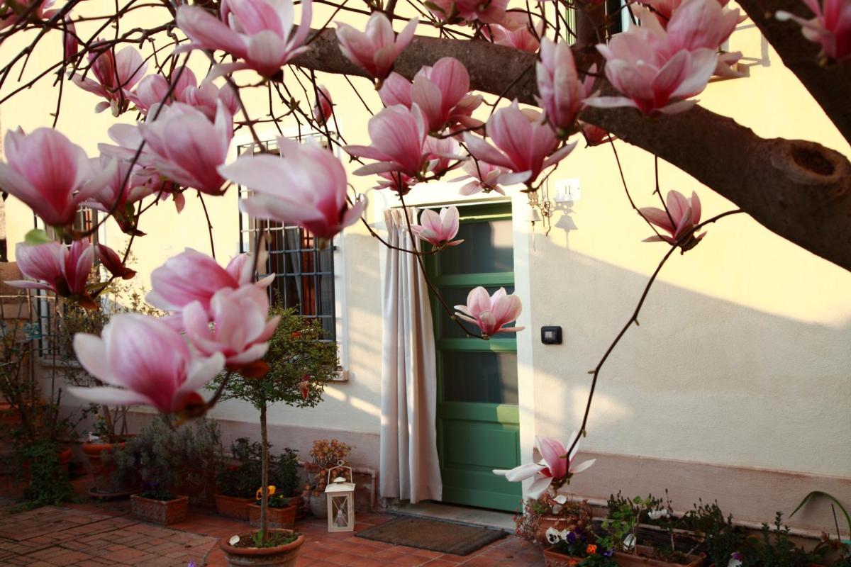 B&B La Magnolia - Housity