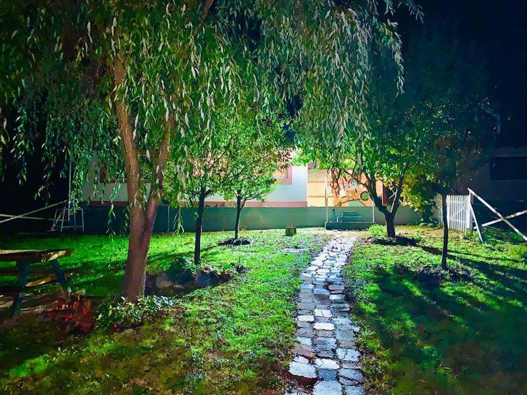 Casa de vacanta 483A, Lacul Surduc - Housity