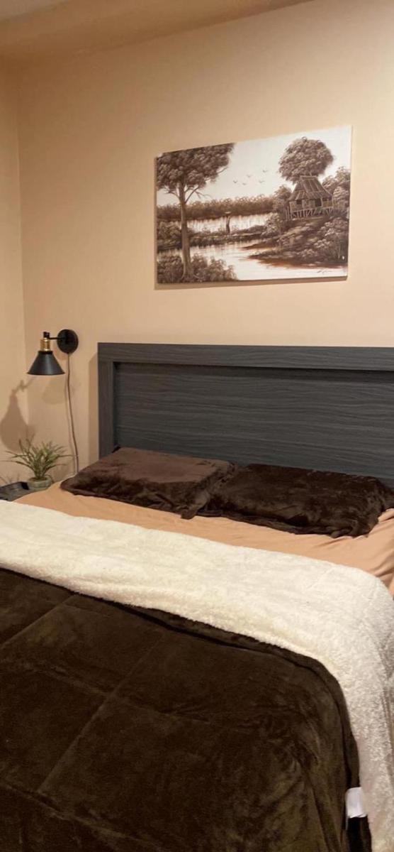 Palau Paradise Comfort - Housity