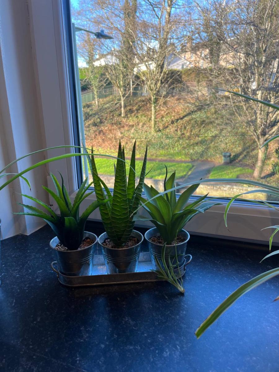 Cherry bank apartment SuiteTrails