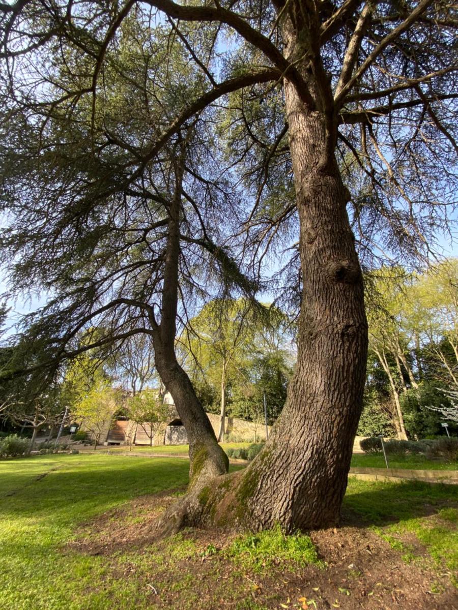 Jardin de l'établissement Logis Hôtel Château De Palaja