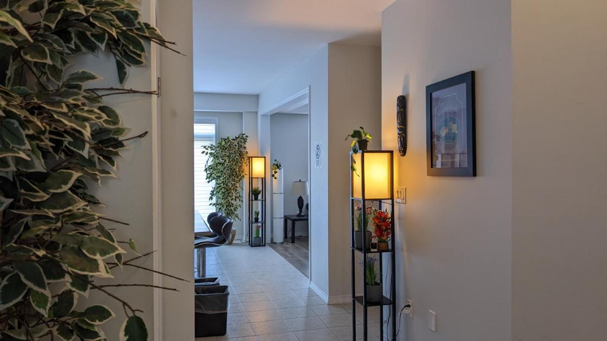 The Warm Welcome Suite - Housity