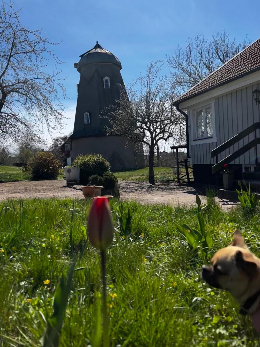 Eget hus på Södra Öland med 4 sovrum - Housity