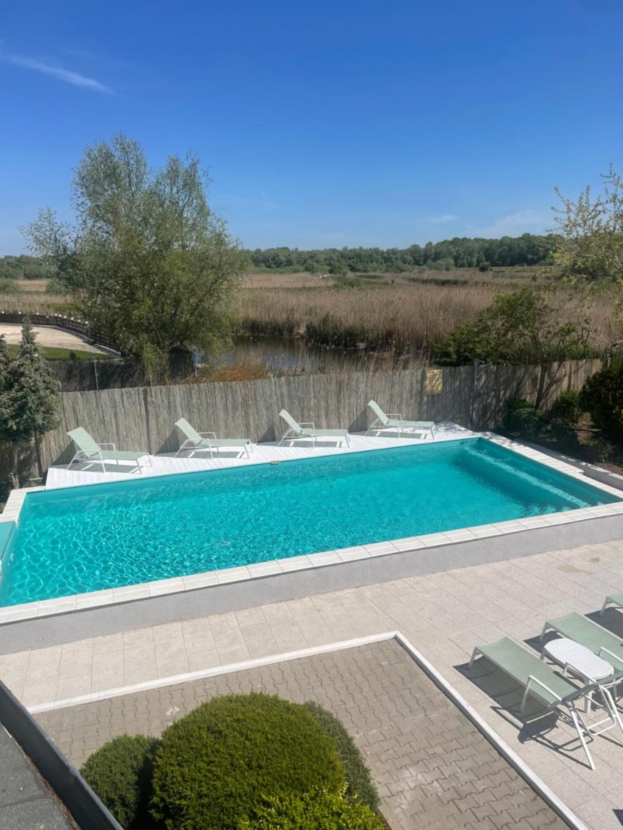 Pensiunea Beluga - Housity