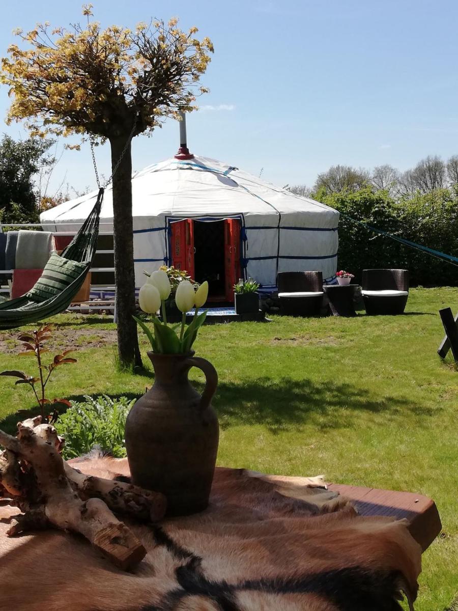 T'eiberveld Yurt verhuur Noord-Sleen - Housity