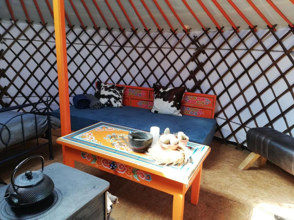 T'eiberveld Yurt verhuur Noord-Sleen - Housity
