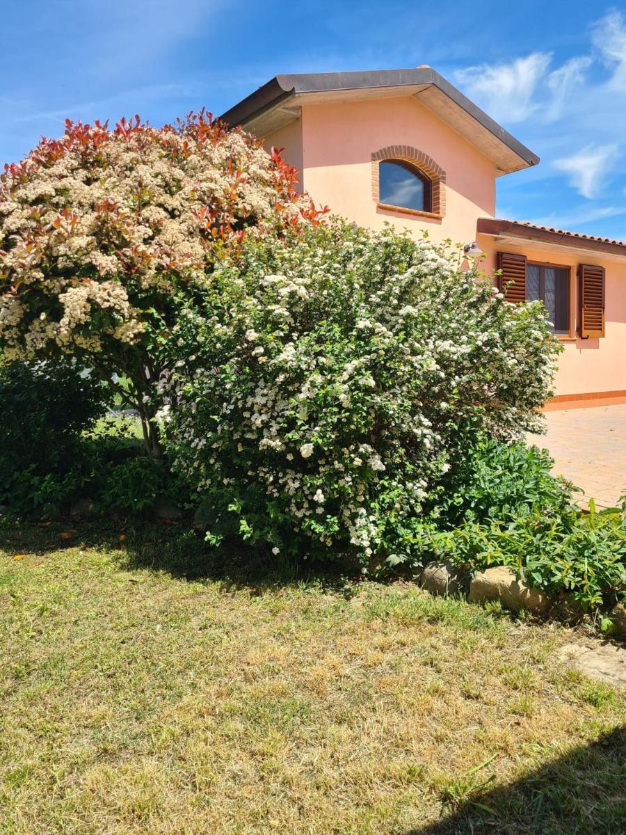 Montepulciano - La Casetta del Pian delle Noci - Housity