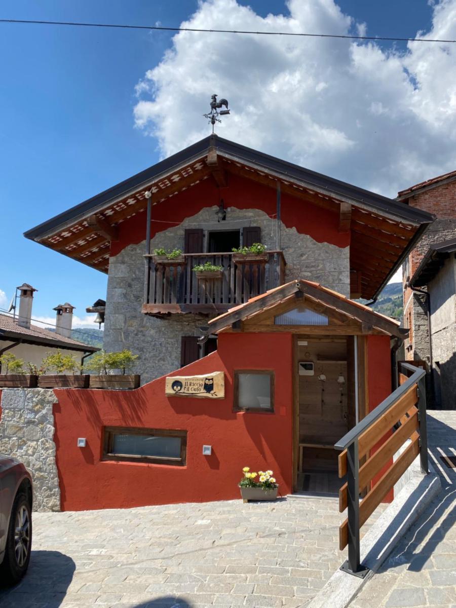 Il Riccio E Il Gufo - Housity