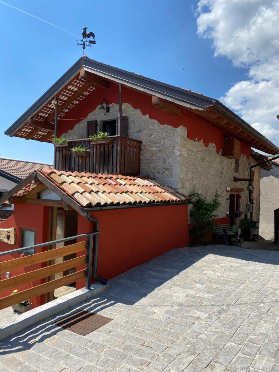 Il Riccio E Il Gufo - Housity