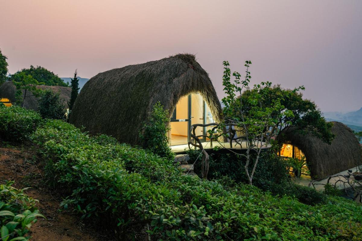 Hippie Home - Housity