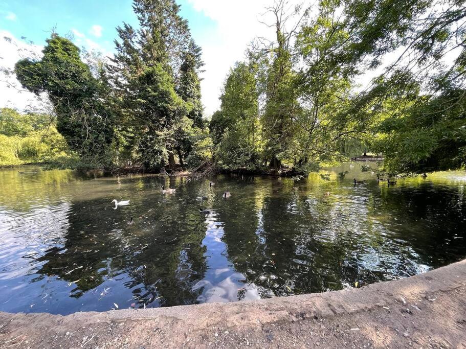 Immaculate 1 bedroom apartment in Orpington - Housity