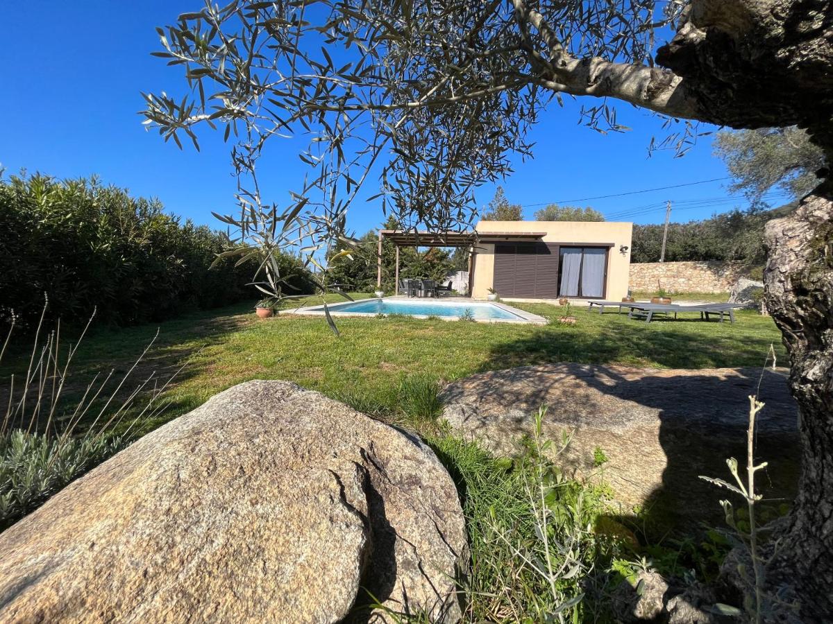 Villa CAlisti - Housity
