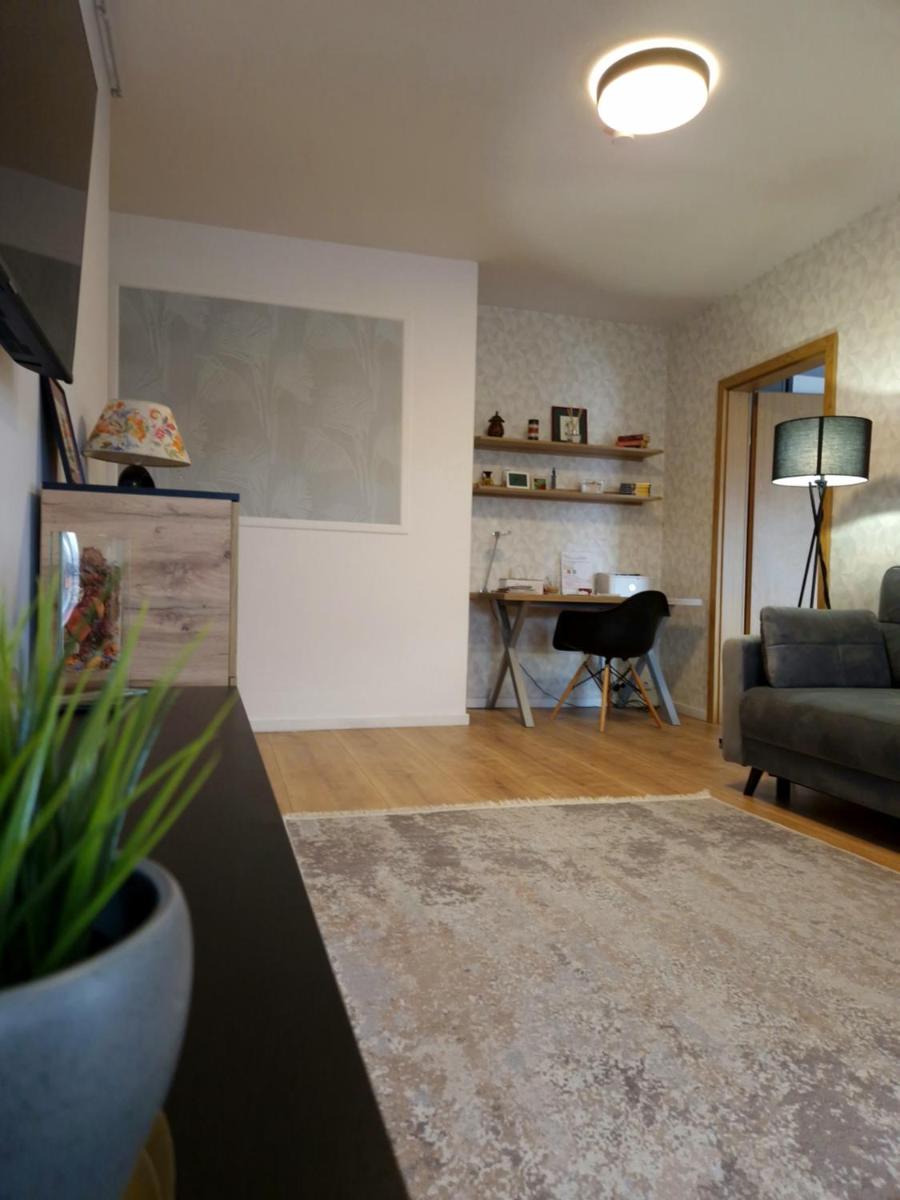 City Apartment Dorobantilor - Hizvo