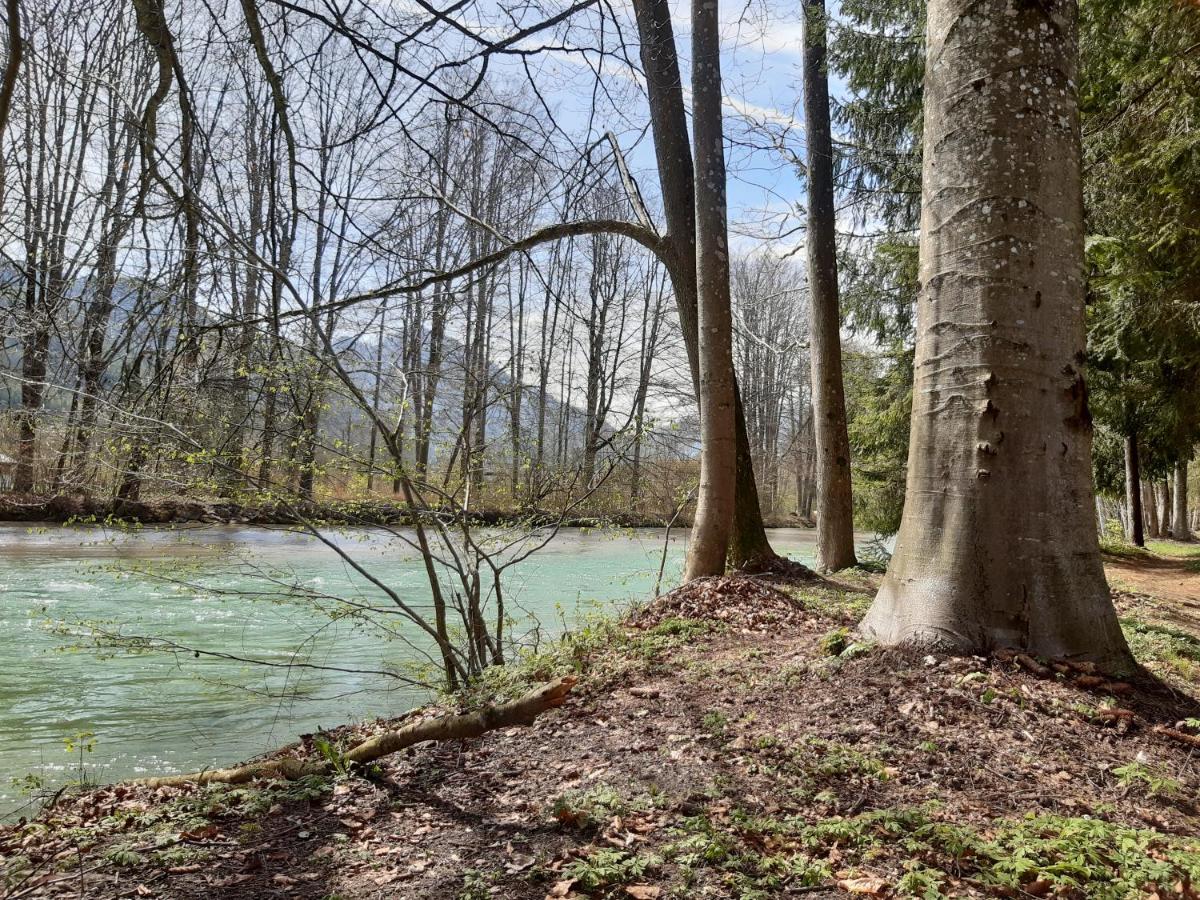 Campingfass Almtal - Housity