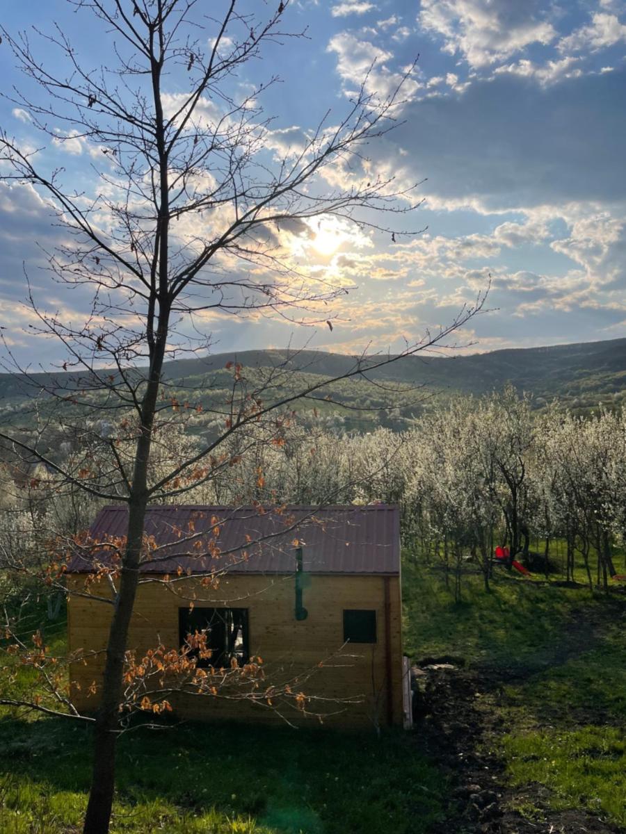 Tiny Heaven Chidea - Housity